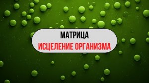 5 Шагов к Исцелению Организма с Квантовой Матрицей. ПРОРЫВ В НАУКЕ