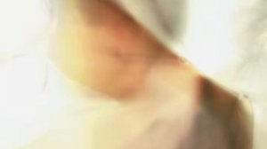 Backstreet Boys - I Want It That Way (Official HD Video)