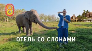 Отель со СЛОНАМИ: 95.000 рублей за ночь!