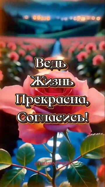 Доброго вечера