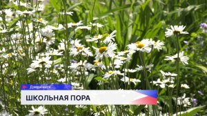 Планы по ремонту здания и благоустройству территории обсудили в школе № 25 Дзержинска