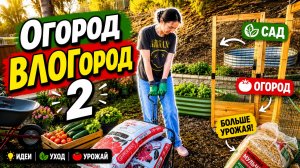 Огород ВЛОГород 2