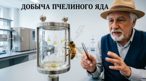 Добыча пчелиного яда: сколько можно заработать и как не навредить пчёлам? 🐝💰 Профессор Кашковский