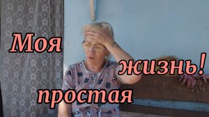 19 июня.Моя жизнь.Покупки.Ох и котлеты.Борьба с травой.