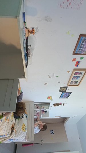 сеня