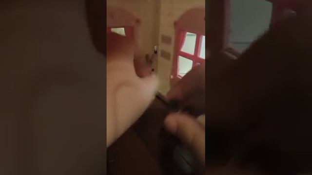 Райский магазин конфет