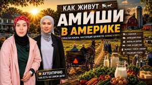 Они отказались от интернета и машин. Как живут амиши в Америке