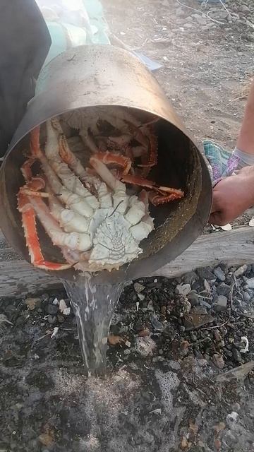 Парной КРАБ, как то так и выживаем