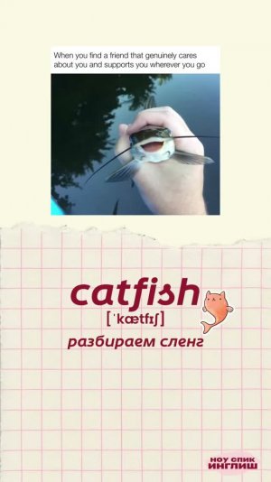 Catfish – это, оказывается, не только рыба 🐟 А ты сталкивался с таким видом мошенничества?
