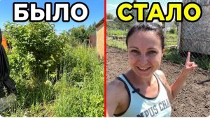 НЕВЕРОЯТНОЕ ПРЕОБРАЖЕНИЕ УЧАСТКА ЗА ОДИН ДЕНЬ СВОИМИ РУКАМИ