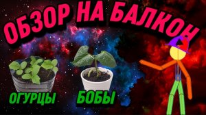 МИНИ-ОБЗОР НА МОЙ БАЛКОН,И ПОГОДУ!