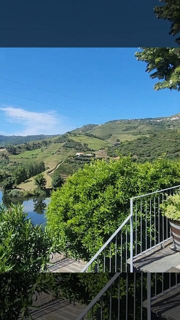 Жемчужина долины Дору — Quinta Do Tedo.