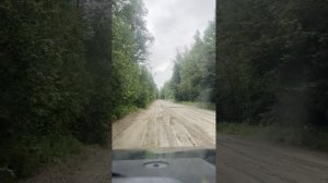 ЛЕСНОЙ ДВИЖЖЖЖЖ. Патруль на НИВАсике