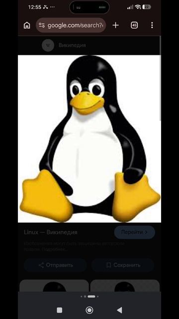 телефон крыска