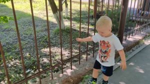 опять одна с 6 детьми 😱 подготовка к дагерю