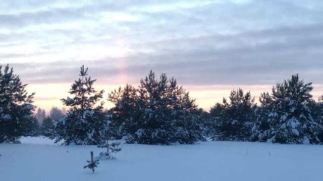 21-01-2024 смотреть онлайн