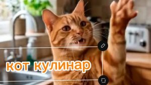 Рыжий кот рассмешил даже сову! Смешные моменты до слёз!