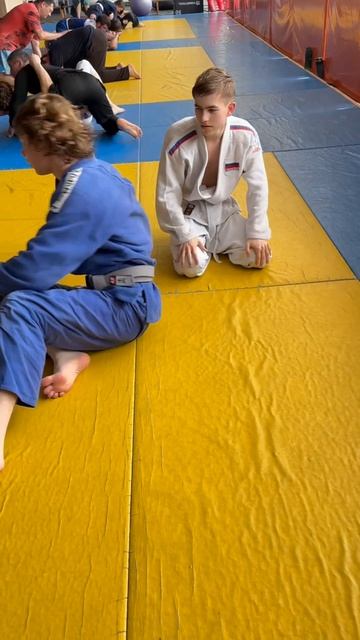 bjj смотреть онлайн