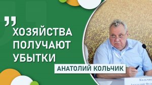 «Хозяйства получают убытки»: эксперт оценил экономику растениеводства на Дону