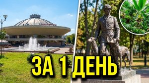 Гомель за один день 🇧 Цирк, Зимний сад и загадочные борзые! Путешествие по Беларуси