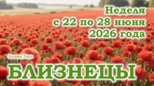 БЛИЗНЕЦЫ | ТАРО прогноз на неделю с 22 по 28 июня 2026 года