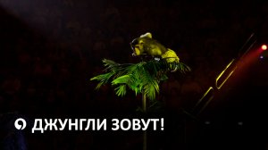 Дети Ставрополья посетили новую цирковую программу «Зов Джунглей»