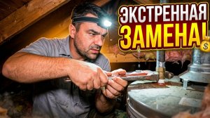 КАК ВЫЖИВАЮТ РУССКОЯЗЫЧНЫЕ НА ЗАГНИВАЮЩЕМ ЗАПАДЕ Ради Денег Пожертвовал Своим Выходным/ Хендимен USA