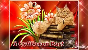 ДОБРОГО СУББОТНЕГО УТРА