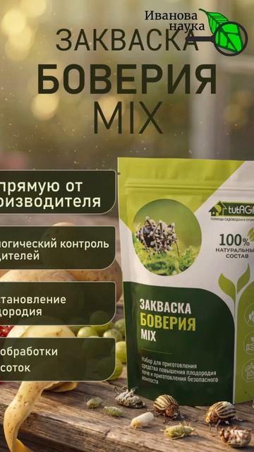 ЛЕГКО: 🌻 Как вывести ТЛЮ БЕЗ капли яда и опрыскивания! Простой и вечный метод 🛑🛡️