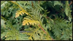 #Отдай квартиру сыну!# — заявила свекровь. А через 3 года она оказалась на самом дне и...