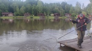 поимка амура