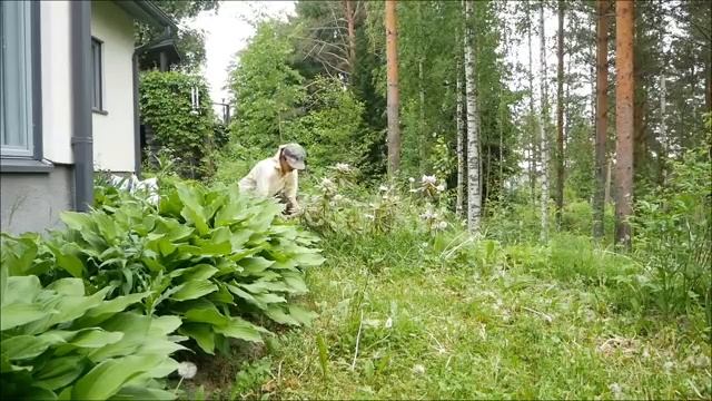 Выпечка, Клубничная крошка с ревенем, Лимонная трава, прогулка смотреть онлайн