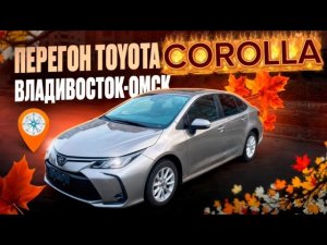Перегон TOYOTA CAROLLA из Китая 1.2 турбо!Владивосток-Омск!