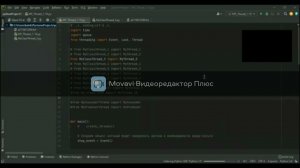 рк видео рэт 301/1