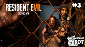 ☣️ Стрим Resident Evil 7 | с русской озвучкой | Черно-Белый Кот #3