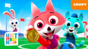 Спорт | Цветняшки! Фильмы | активные игры и зарядка для малышей 0+