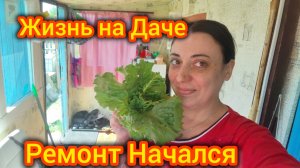 Живем на Даче. Ремонт начался. Кого мы встетили 😲 Урожай 2026