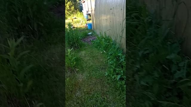 топ моя дача смотреть онлайн