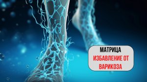 Матрица – Оздоровление сосудов и избавление от варикоза