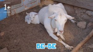 Укладываем малыша и развиваем речь - первые слова малыша.