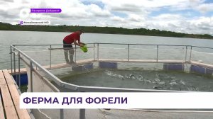 В Приморье у привозной форели из Китая и Турции появился конкурент из посёлка Новошахтинский