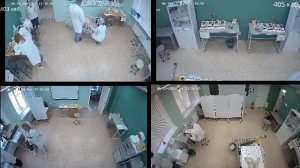 (ID: 323403) Дем.экзамен по специальности 36.02.01 Ветеринария (403, 405 каб.)