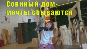 СОВИНЫЙ ДОМ НА ВДНХ В МОСКВЕ/ 25 мая 2026