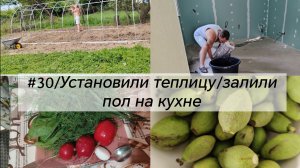 #30/Установили теплицу/залили пол на кухне/совместный обед ёжика и кошки🙂 дом в Краснодарском крае