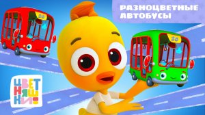 Разноцветные автобусы (Wheels on the Bus) | Цветняшки! Мировые хиты | учим цвета 0+