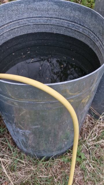 Две новости с моей дачи: картошка и вода! 18 июня 2026 года
