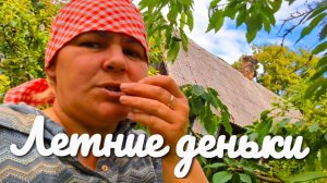 «Жизнь в деревне»   От дерева к дереву.