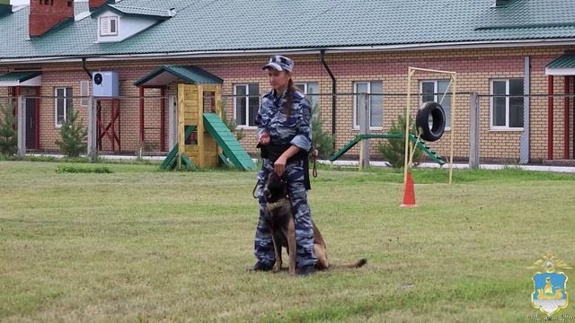 С Днём кинологических подразделений МВД России !