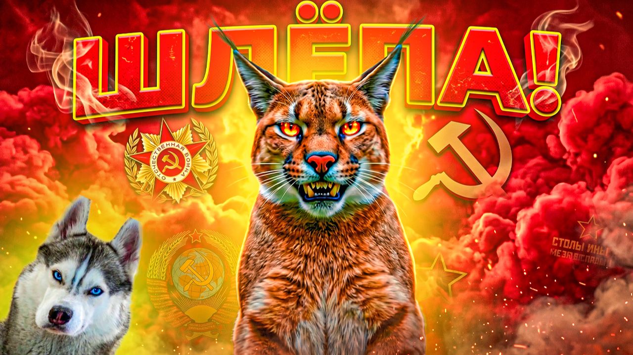 ШЛЁПА ИЗ СССР! СТРАШНАЯ ИСТОРИЯ ПОЯВЛЕНИЯ! Хаски Бандит Говорящая собака смотреть онлайн