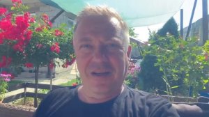 Жизнь вне орхидей. зачем мне ДВА дома и запустеет ли первый когда перееду
